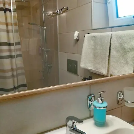 Apartment Aster